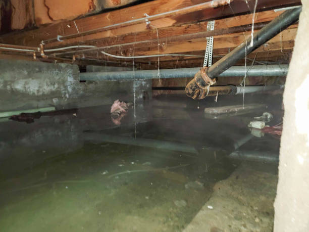 Best Basement water damage restoration  in Hudson, IL