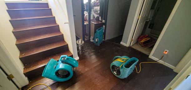 Best Water damage contractors near me  in Hudson, IL