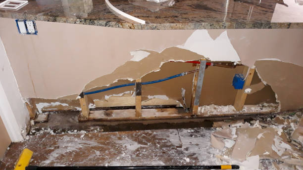 Best Water damage cleanup near me  in Hudson, IL