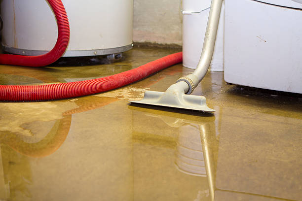 Best Local water damage restoration  in Hudson, IL