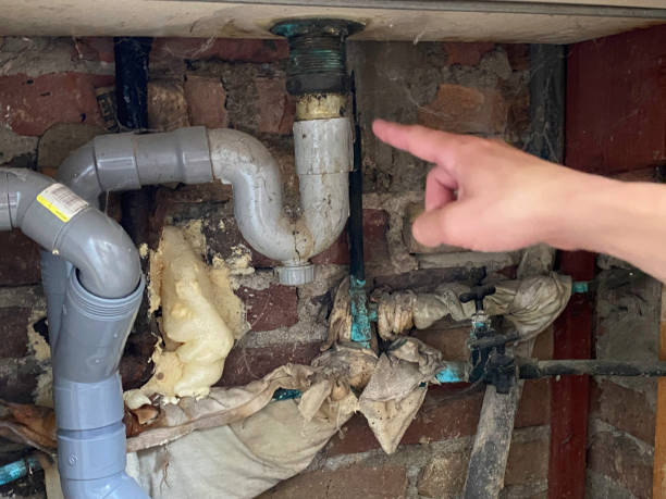 Water damage restoration experts in IL
