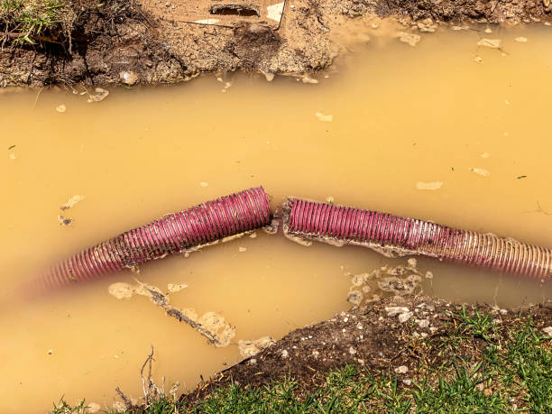 Best Residential water damage restoration  in Hudson, IL