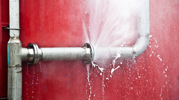 Best Flooded house restoration  in Hudson, IL